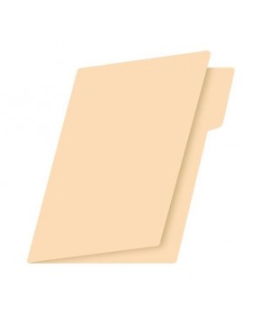 Folder Crema Tamaño Carta C/100