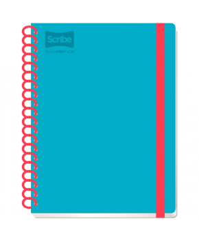 Cuaderno Profesional Pasta Dura Excellence Raya 100 h. marca Scribe